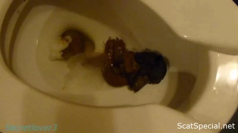 A Spectrum Of Fecal Eruptions With Plentiful Wind And Bladder Emission - Secretlover3