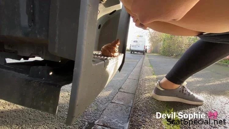 Hard To Believe - The Mystery Of Feces On The Truck Step - Devil Sophie